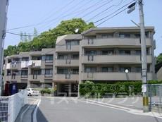 グランドハイム和白